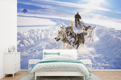 Produktbild von MuchoWow® Fototapete für Wohnzimmer oder Schlafzimmer Wandtapete Vinyl Motivtapete Huskys für Hundeschlitten - 390x260 cm - Papiertapete