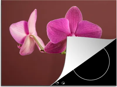 Produktbild von KitchenYeah© Herdabdeckplatte Blumen - Orchideen - Rosa , 75x52cm, Küche Deko, Glaskeramikkochfeld Herdabdeckung, Abdeckplatte fùr Kochfeld