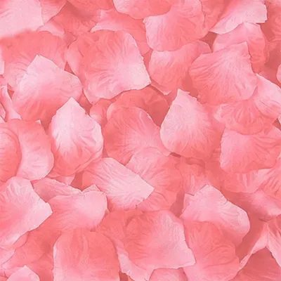 Immagine prodotto di 100 petali di rosa, rosa pallido