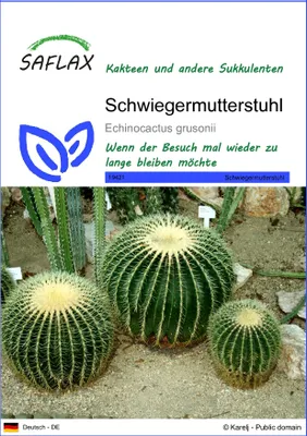 Produktbild von SAFLAX - Schwiegermutterstuhl - Echinocactus grusonii - 40 Samen