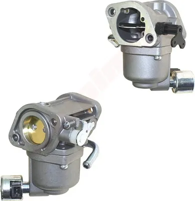 Obrázek produktu pro Karburátor B&S ( 597126 )