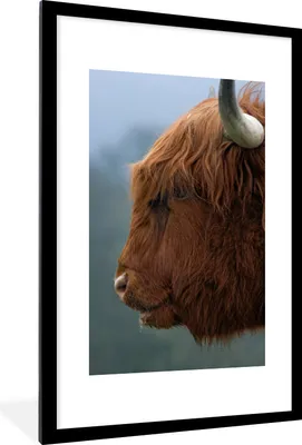 Produktbild von MuchoWow® Gerahmtes Poster Schottischer Highlander - Kuh - Nahaufnahme 60x90 cm - Poster mit Schwarzem Bilderrahmen Wandposter Rahmen Foto Bilder - Dekoration - Wandposter Wohnzimmer - Hochwertig