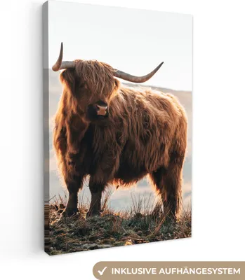 Zdjęcie produktu dla MuchoWow® - Obraz na płótnie - Szkocki góral - Zwierzęta - Wiejski - Krajobraz - Krowa - Natura, fototapeta ścienna, obrazy dekoracyjne do salonu, 60x90cm