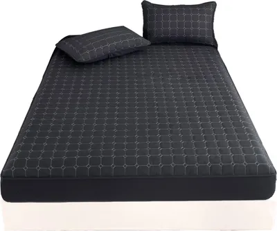 A mattress protector and two pillows are shown on a mattress.