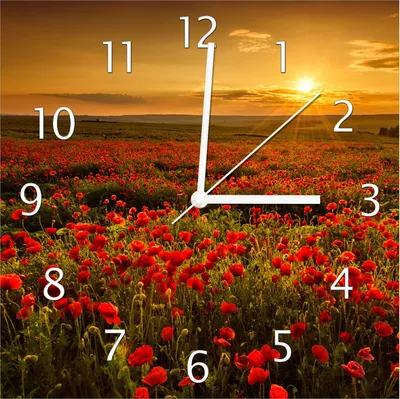 Produktbild von Wallario Design Wanduhr Mohnblumenwiese bei Sonnenuntergang am Abend aus Echtglas, Größe 30 x 30 cm