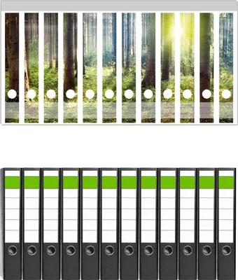 Produktbild von Wallario 12 Stück schmale Ordner inkl. Klebeetiketten mit Motive Sonnenuntergang im Wald zwischen den Bäumen -  Set mit Rückenschildern / Ordnerrücken Stickern