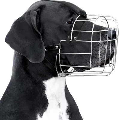 Productafbeelding van BronzeDog metalen mand voor honden, verstelbaar (XL)