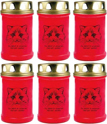 Produktbild von Grabkerze Rot 6er Pack, Brenndauer: 48 Stunden ( je Kerze ), Motiv: Katze 2