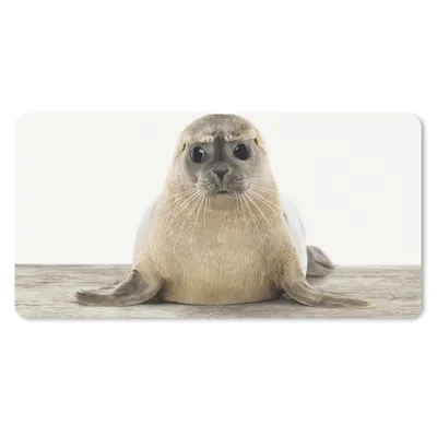 Produktbild von MuchoWow® Mauspad Mousepad Robbe - Tiere - Kinder - Jungen - Mädchen - Kinder 60x30 cm - Mousepads - Maus Mat - Pad - Mausunterlage - Nachhaltig