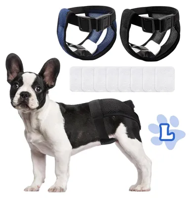 Waschbare Hundewindeln mit 6 Einlagen, L, schwarz/blau