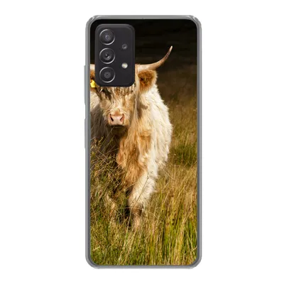 Produktbild von MuchoWow® Handyhülle Schutzhülle Hülle für Samsung Galaxy A33 5G Schottische Highlander - Licht - Gras - Tiere Silikon Softcase Handy Hülle - Kartenhalter
