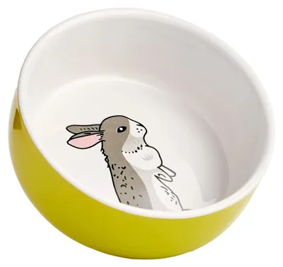 Produktbild von Keramiknapf für Nager, grün/weiß, Ø 11 cm x 4,5 cm, 1 Stück