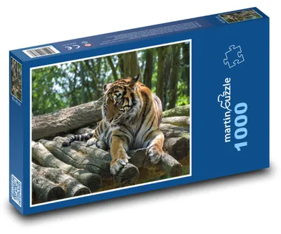 Obrázok produktu pre Puzzle 1000 Tiger v lese - martinpuzzle