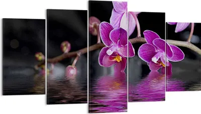 Produktbild von Bild auf Leinwand - Leinwandbild - Asien exotisch orchidee blume - 160x85cm - Wand Bild - Wanddeko - Leinwanddruck - Bilder - Kunstdruck - Wanddekoration - Leinwand bilder - Wandkunst - EA160x85-2312