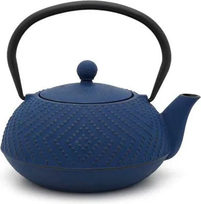 Immagine prodotto di teiera Fujian da 12L con filtro - blu cobalto