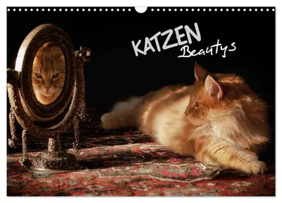 Produktbild von KATZEN Beautys (Wandkalender 2027 DIN A3 quer), CALVENDO Monatskalender