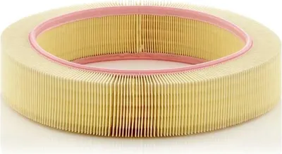 Zdjęcie produktu dla Filtr powietrza MANN-FILTER C 40 174