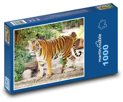 Zdjęcie produktu dla Puzzle 1000 Tygrys w zoo - martinpuzzle