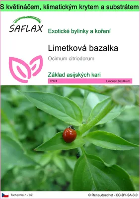 Obrázek produktu pro SAFLAX Garden to go - Limetková bazalka - Ocimum citriodorum - 200 Semena - S květináčem, klimatickou poklicí a pěstebním substrátem