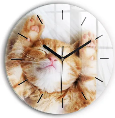 Produktbild von Wallfluent Wanduhr – Stilles Quarzuhrwerk - Uhr Dekoration Wohnzimmer Schlafzimmer Küche - Zifferblatt mit Striche - schwarze Zeiger - 30 cm - Schlafende kleine Katze
