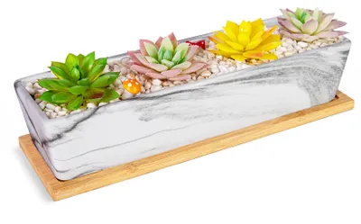 Immagine prodotto di Solidchoice - Vaso grande per piante succulente, con sottovaso, per uso interno