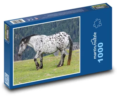 Obrázok produktu pre Puzzle 1000 Strakatý Kôň na Lúke - martinpuzzle