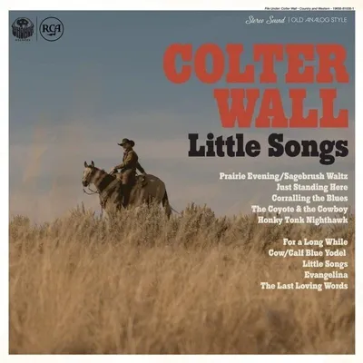 Zdjęcie produktu dla Colter Wall - Little Songs (LP)