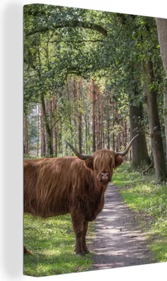 Produktbild von OneMillionCanvasses® - Leinwandbilder - 90x140 cm, Schottisches Hochlandrind - Kröte - Baum, Wandbilder Wohnzimmer Hochland Rind - Tier Wanddekoration - Hochland Rind - Kuh - Gemälde auf Holzrahmen  - Wandschmucke - Schlafzimmer