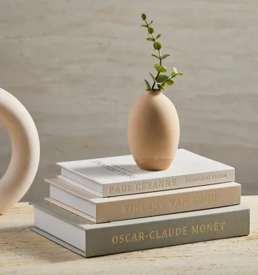 Imagen del producto de Conjunto de 3 libros decorativos para la decoración del hogar