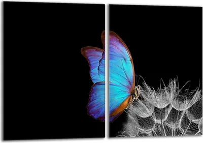 Produktbild von Glasschutzplatte für den Herd 2x40x52 Butterfly