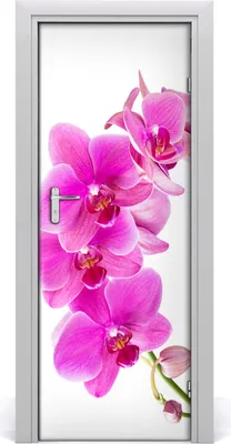 Produktbild von Tulup Türaufkleber 75x205 cm Dekorative Aufkleber Selbstklebend Wasserdichte Tapete Abnehmbar Schlafzimmer Wohnzimmer Wohnkultur - rosa Orchideen
