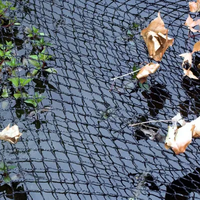 Zdjęcie produktu dla Siatka przykrywająca do stawów Velda 6 x 5 m