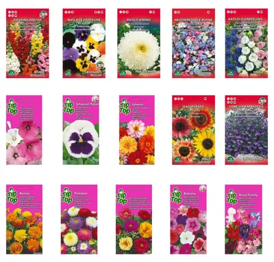 Imagen del producto de Set de semillas de flores - 15 variedades - Anuales y bienales - Flores silvestres