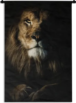 Produktbild von MuchoWow® Wandteppich Wandbehang Löwe - Licht - Porträt 120x180 cm Tapisserie Dekoration Wandtuch - Schlafzimmer - Dekorationen für das Haus