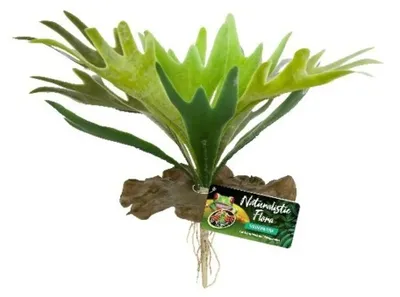 Productafbeelding van Zoo Med Staghorn Fern kunstplant 24 cm voor tropisch reptielenterrarium