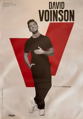 Obrázek produktu pro David Voinson – plakát / poster – 70x100 cm