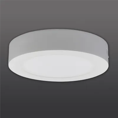 Produktbild von Näve Leuchten LED Deckenleuchte SIMPLEX mit LED Platine LED Deckenleuchte SIMPLEX mit LED Platine Deckenleuchten - LED Deckenleuchte "SIMPLEX" Ø:17cm, Deckenlampe im Modern Style, aus Metall und Kunststoff in weiß, 4 cm hoch, Ø 17 cm, inkl. LED
