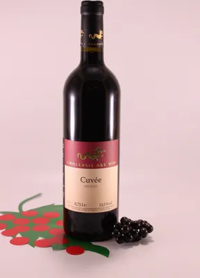 Immagine prodotto di Cuvee Tirolensis Weinberg Dolomiten Rosso - 2020 - Tirolensis Ars Vini