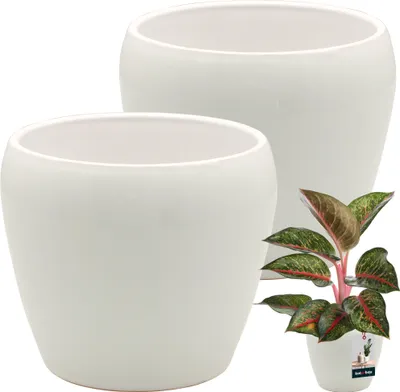 Image de KOTARBAU® 2 pcs. pot de fleurs blanc intérieur rond ⌀ 12 cm H : 12 cm céramique émaillée pots de fleurs intérieur cache-pot céramique pot de plantes intérieur cache-pots orchidées céramique pot de fleurs grand Flower Pot