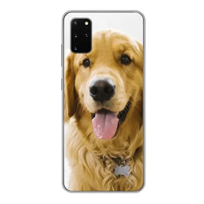 Produktbild von MuchoWow® Handyhülle Schutzhülle Hülle für Samsung Galaxy S20 Plus Porträt eines superschönen Golden Retrievers Silikon Softcase Handy Hülle - Hartschale