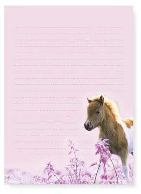 Produktbild von Friendly Fox Kinder Briefpapier Pferd, 1x DIN A5 Briefblock Schreibblock mit Linien und 20 Umschläge, Briefpapier Set für Kinder