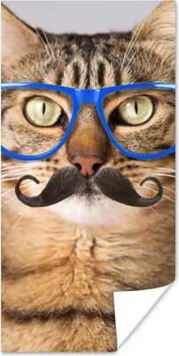 Produktbild von MuchoWow® Poster Katze - Brille - Schnauzbart - Hipster 80x160 cm - Kinderzimmer