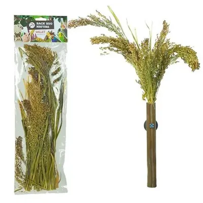 Immagine prodotto di Spighe di Panicum in mazzo da Back Zoo Nature - | Mazzo di miglio | per tutti i pappagalli 40g