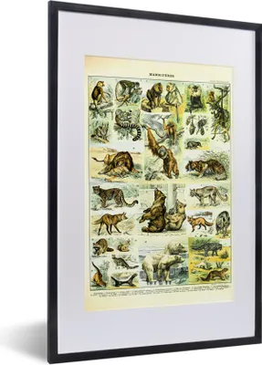 Produktbild von MuchoWow® Gerahmtes Poster Tiere - Affe - Bären 40x60 cm - Poster mit Schwarzem Bilderrahmen Wandposter Rahmen Foto Bilder - Poster in Rahmen