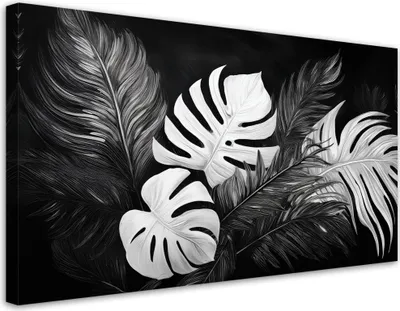 Immagine prodotto di Tela Monstera Foglie Nero e bianco 80x40 Feeby Immagine in bianco e nero per la parete pronta per essere appesa