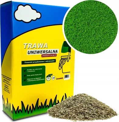 Produktbild von Universal Rasen für Freizeitrasen 1Kg, 40m² Flächenabdeckung, Aussaat Frühling bis Herbst