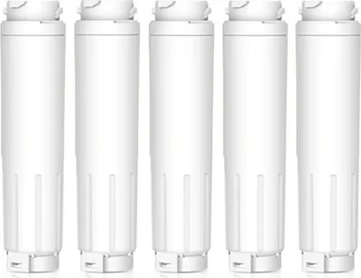 A set of five white refrigerator water filters arranged in a row against a white background.