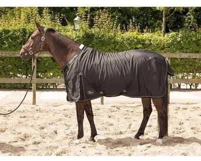 Obrázek produktu pro Stájová deka Harry's Horse Highliner, barva hnědá, 195 cm. Barva: hnědá, velikost: 195 cm