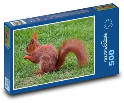 Obrázok produktu pre Puzzle 500 Veverička na zelenej lúke - martinpuzzle
