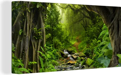 Produktbild von MuchoWow® - Leinwandbilder - Natur - Wasser - Dschungel - Wald - Tropisch, Wandbild, Wanddeko Bilder Wohnzimmer, 40x20 cm